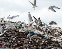 ����������������� �������� ����������� ��������� ������� ������� ������� 