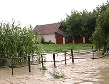 � ������� ����������� ������ ������ � ����� �����������