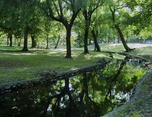 �������� ������� ��� � ���������� �������� ����������