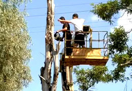 � ������ ������������ ����� ����������� ���� � ������� ��������