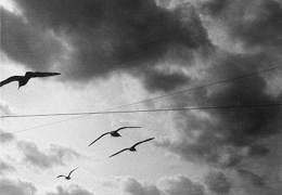 �������� � ��������������� ����� ����������