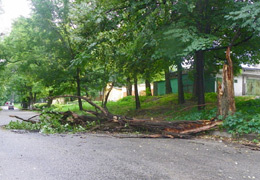 �� ����� 9-�� ��� ����� ������