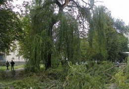 ��������������� ������� ������