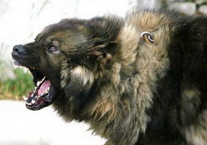 ������ ���������� ���� ������� ����� ��� �����������������