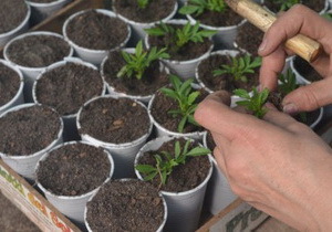 ���������� ������������������ �� ����������� ��������� ��������� ������������� �� ��������