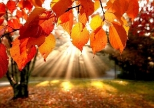 ��������� �������� ����� ���� � �������