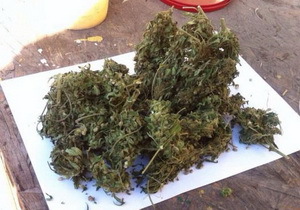 ����������������� ���������� ��������� ���� �������