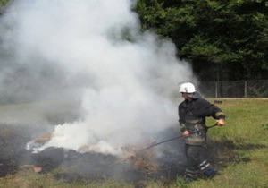 ����������������� ������� ������ �� ���� �����