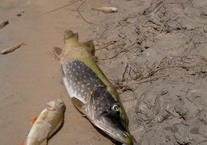 ��� ���� � ��������� ������ ������ ������� ��������������� ������