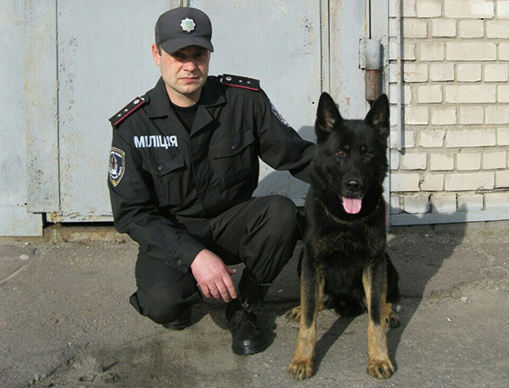 � ��������� ��������� ��� ����� ���������� ������������ ���� ��������