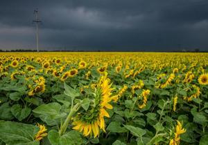 ������ �� �������� � ��������� ������: �� ���� - � ��������