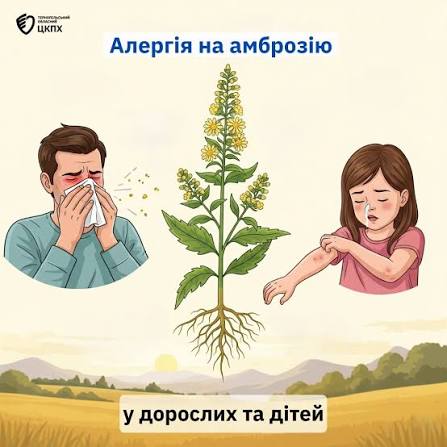 Дніпровська психолог допомагає знайти зцілення від алергії