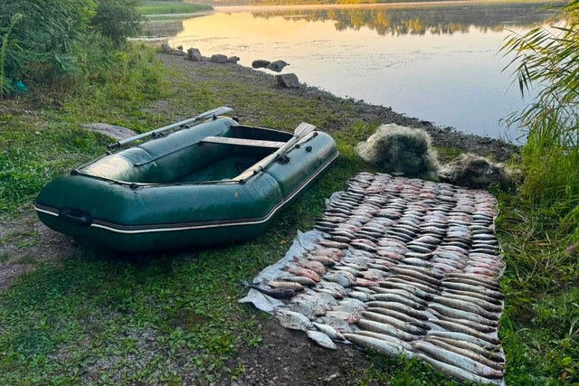 Риба, човен та сітки, які вилучили у чоловіка. Facebook/Дніпропетровський рибоохоронний патруль Збитків на понад 433 тисячі гривень. На Дніпропетровщин викрили грубе порушення правил рибальства