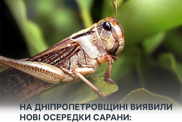 �� ���������������� ���������� ����� ����� �������: ������ ������ ����� ������ �������� 