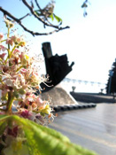 � ��������������� ����� ������� �������