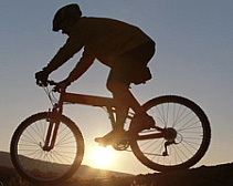 � ��������������� ������� ����-������� ������������ ����� 2008� 