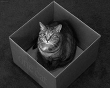 ������ ������� �������� ��������� � ����� ������� ����� 