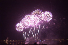 ��������� ��� ������ 2008