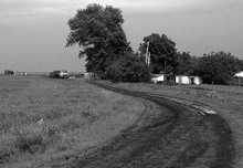 �������� ������ �������� ������ 31 ������ �������