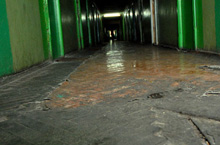 ���� ��������� ��������� ��������������� ����� � ����������