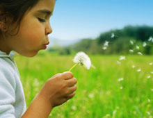 ���� ����������� ��������� � ��������� ��������