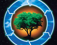 �������� - ������� ���������