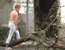 ���� � �������