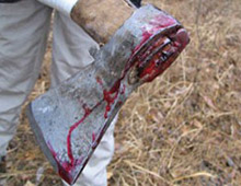 ���� ������� ����