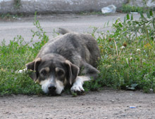 � ����������������� ����������� ����� �������� ����������� ���������� ������������� ������ ��������� ��������