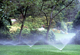 ������� ����������� ����� �����