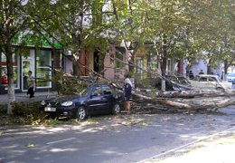 � ���������������� ������ ����� �� ������