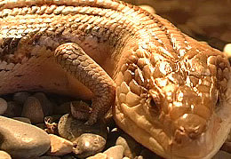 ������� ������ ��������� � ������� ����� � ����� ������