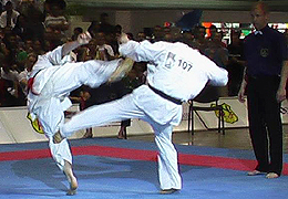 ������ ������-������������� ����� �� ���������