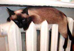 ��������� � ������������� ������ ������