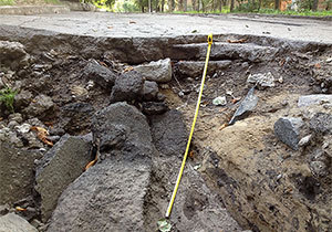 ����� ����������� ������� ����������