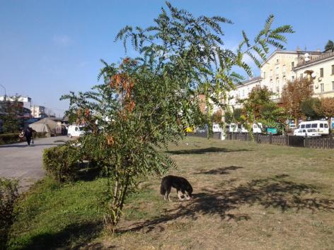 ���������� ������ ���������������� ��� ������ ����������, ������� ������