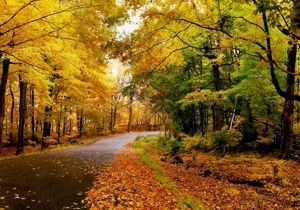 ����� � ������� ����������� �� �������� ������� � ���������