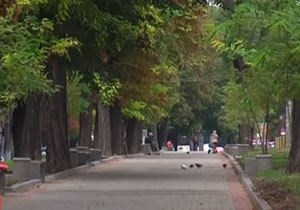 ����� � ��������������� �������� ����� ����