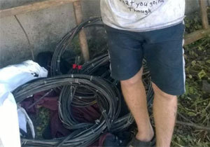 � ��������� ����� ������� 