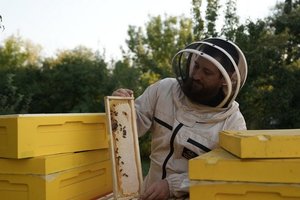 200 ������ �� ����������������: ������ ������ � ��������� ������� ������ ������