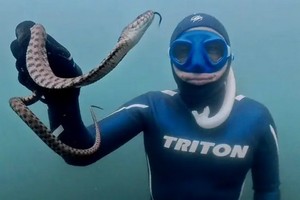 �� ���������������� ������ ������ ���������������� �������� � ����������� ����