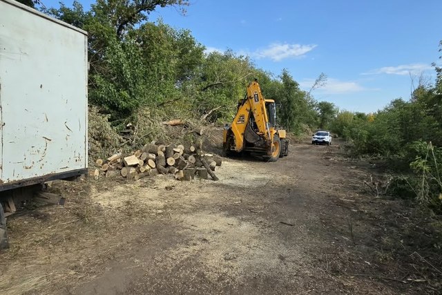 В Днепровском районе патрульные обнаружили мужчин, незаконно вырубавших зеленые насаждения