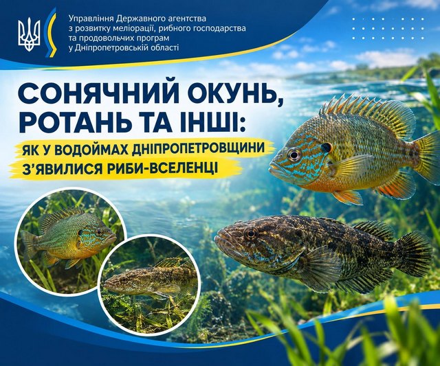 У водоймах Дніпропетровщини стрімко поширюються риби-переселенці
