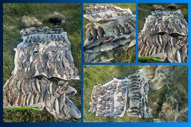 Рыбоохранный патруль обнаружил рыбака-броконьера: размер нанесенного ущерба — 222 020 грн