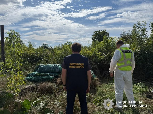 На Днепропетровщине полицейские разоблачили незаконное выращивание конопли и сбыт каннабиса: изъято более 20 кг наркотического средства и более 1,3 тыс растений