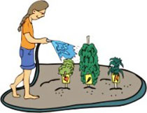 ��������� ��������-������� 