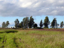 ������ ����� ���� ������ ���������