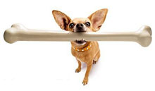 �� �������� � ����������?