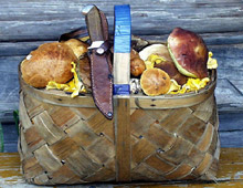 ������� ���������� ������� ������� 19-������ ������