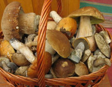 �� ��������� ������ ������������� 10 ������� ������� ���������� �������